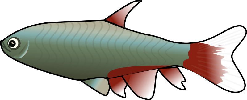 Fish Clipart Png Animated Fish Clipart