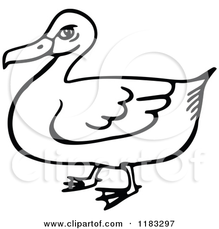 Duck Clipart Black And White 1183297 Clipart Of A Black And White Duck