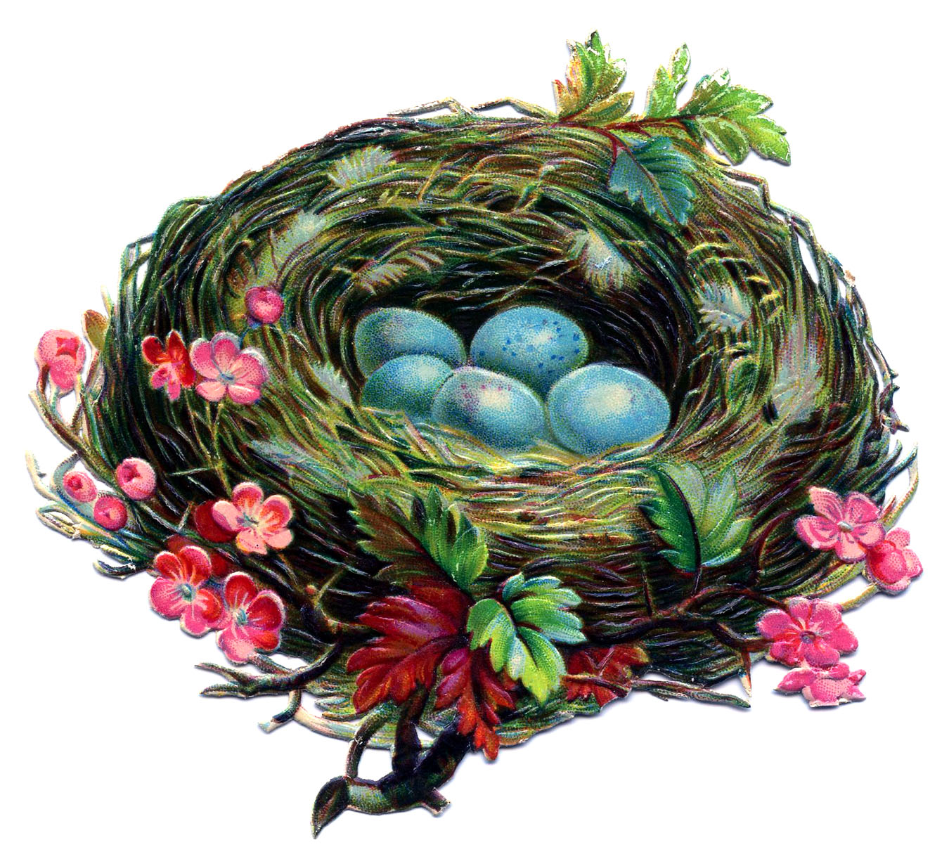 Vintage Clip Art   Pretty Nest With Blue Eggs   The Graphics Fairy