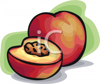 Find Clipart Peach Clipart Image 26 Of 33
