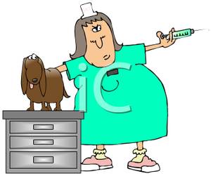 Vet Giving A Dog A Shot   Royalty Free Clipart Picture