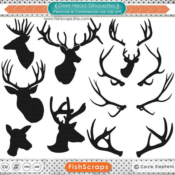 Antlers   Outlines   Buck   Doe   Reindeers   Stag   Digital Clipart