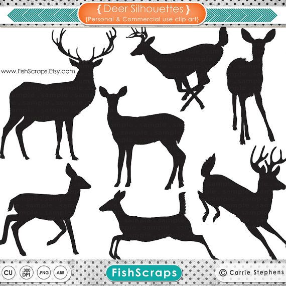 Buck Doe Reindeer Clipart Animal Clipart Digital Graphics Deer Png