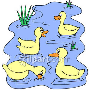 Group Of Ducks Sitting In A Pond Royalty Free Clipart Picture
