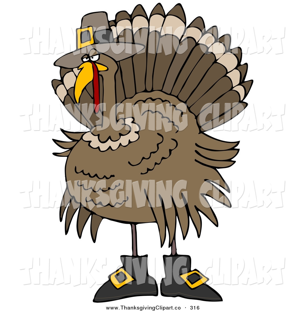 Turkey Bird In Pilgrim Boots And A Hat Hiding From Hunters Pilgrim