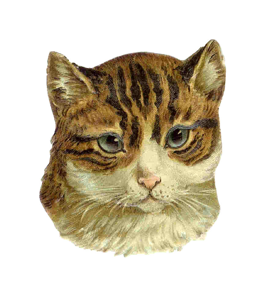 Images  Free Cat Clip Art  Antique Die Cut From Victorian Scrapbook