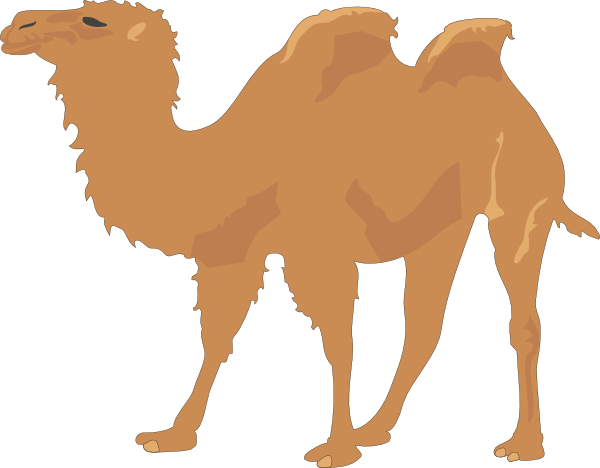 Camel With Two Humps Clip Art