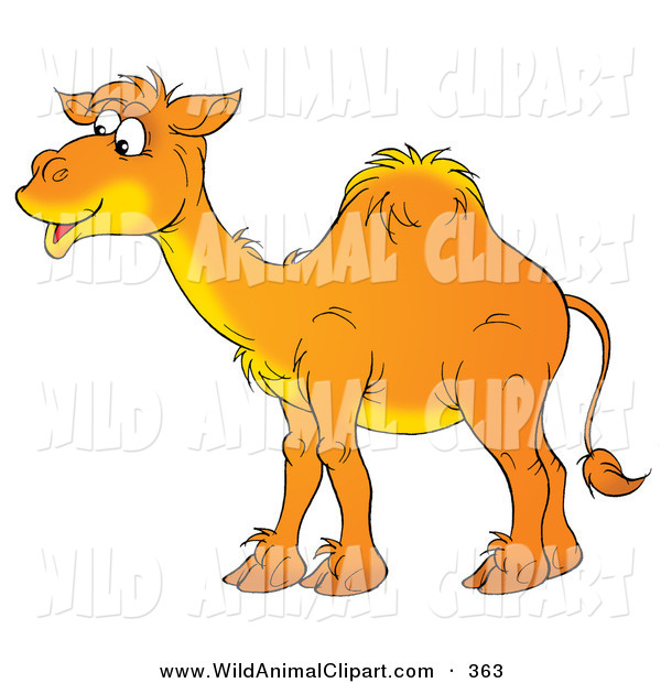 Clip Art Of A Happy Orange Arabian Camel With One Hump Smiling And