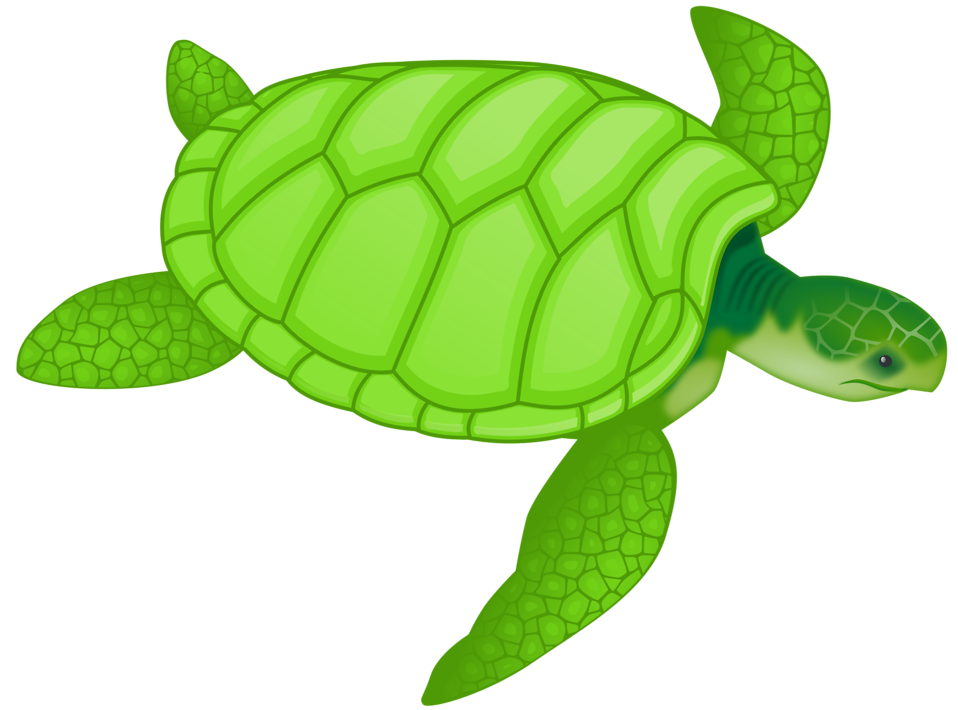 Turtle   Free Stock Photo   Illustration Of A Green Sea Turtle