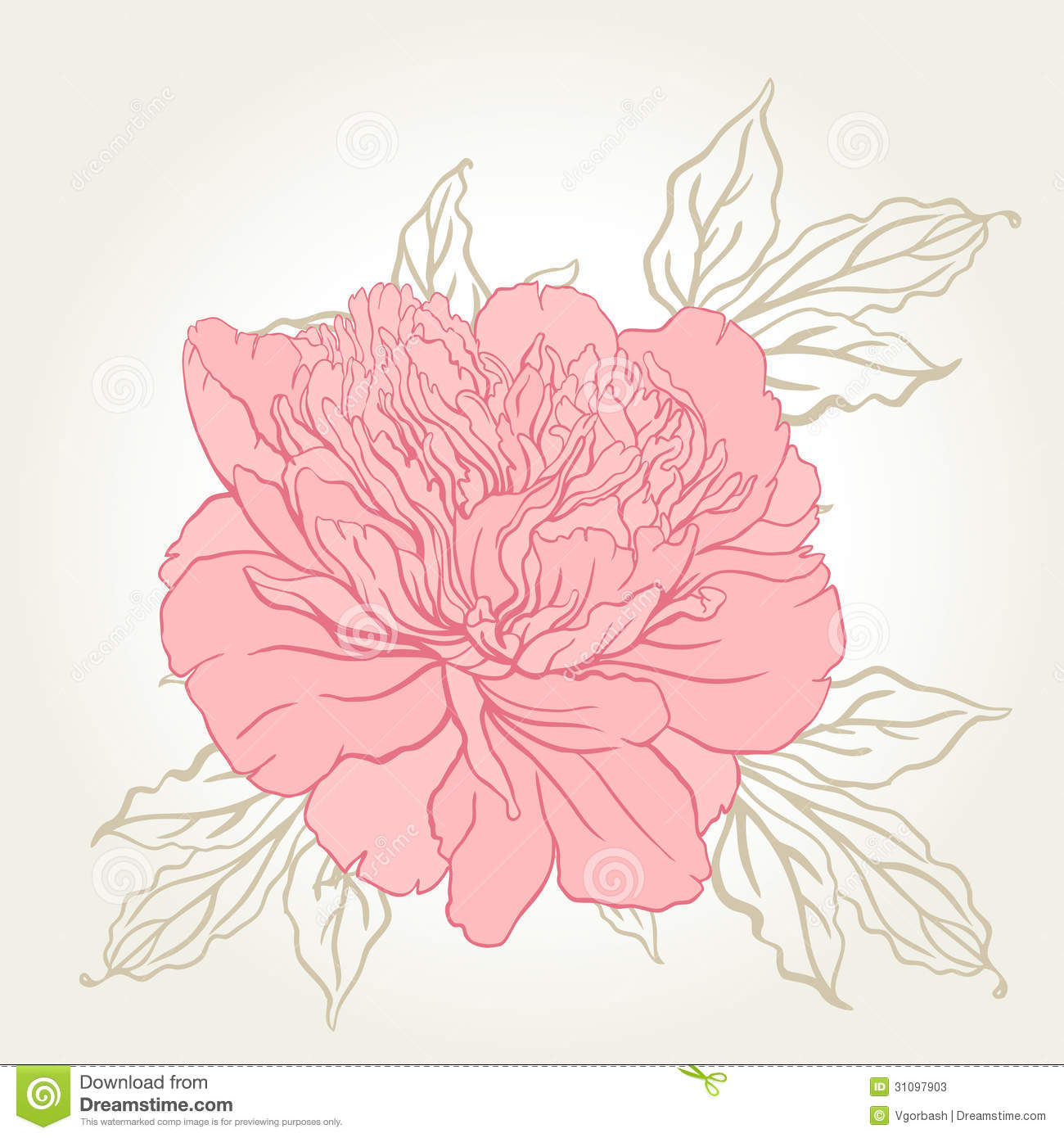 Beautiful Peony Bouquet Design On Beige Background Stock Photos    