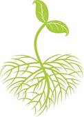 Crops Growing Clipart Growing Plant   Clipart
