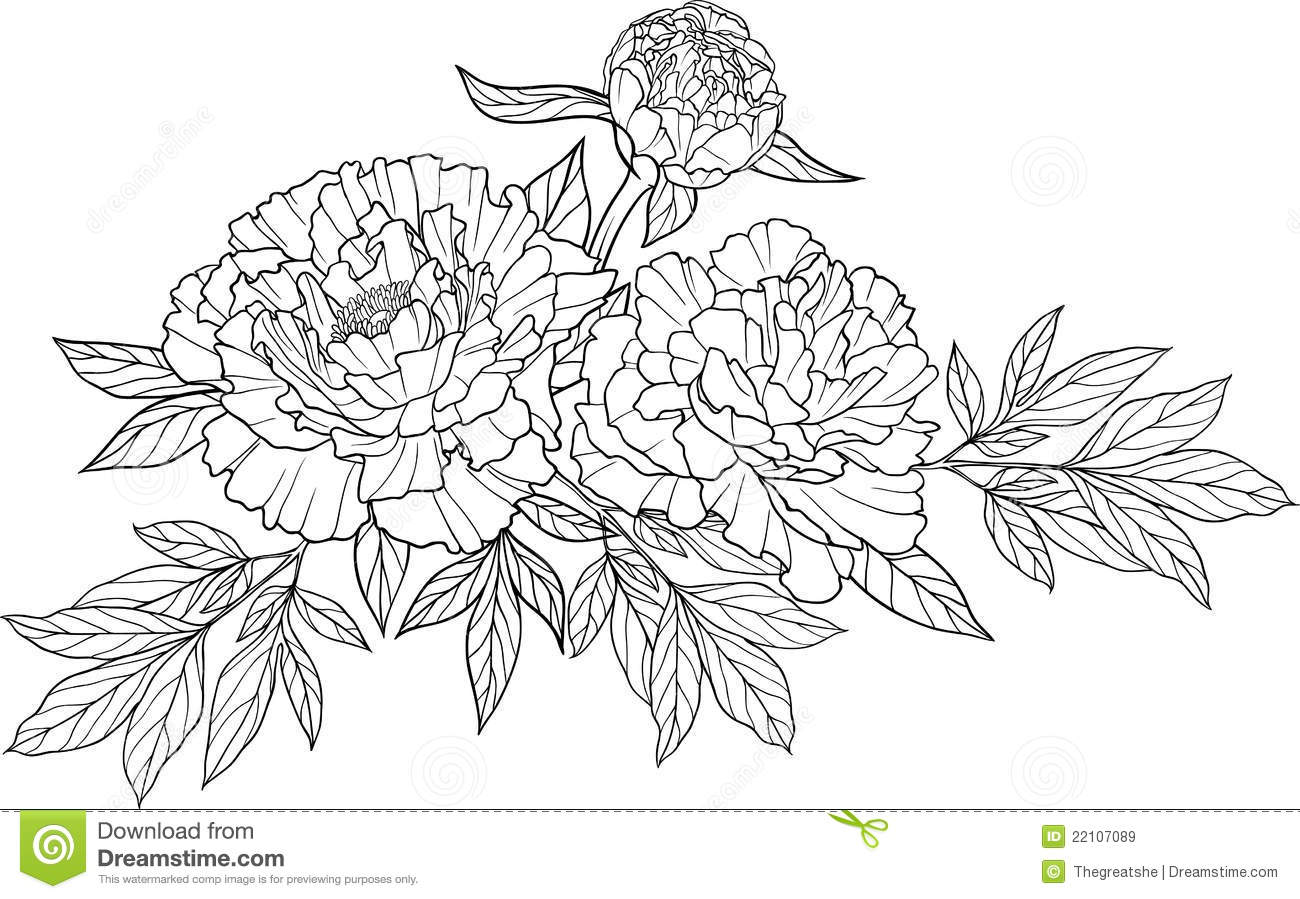 Realistic Graphic Three Peony Flower Tattoo Image With Leaves  Cool    