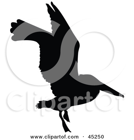 Royalty Free  Rf  Bird Silhouette Clipart   Illustrations  1