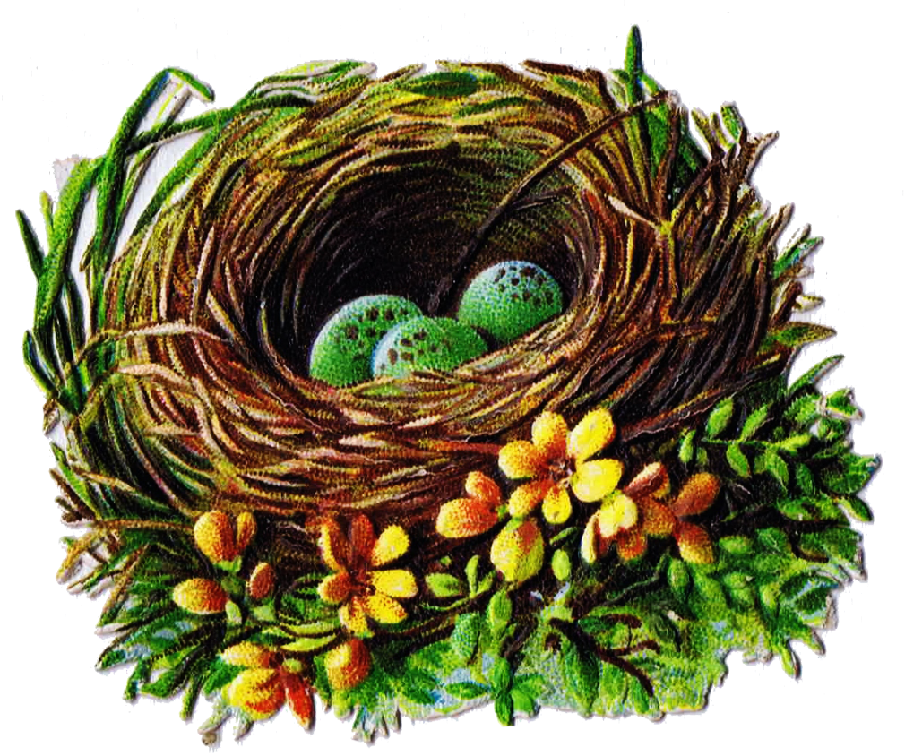Bird Nest And Egg Graphics   5 Antique Die Cut Images   Knick Of Time