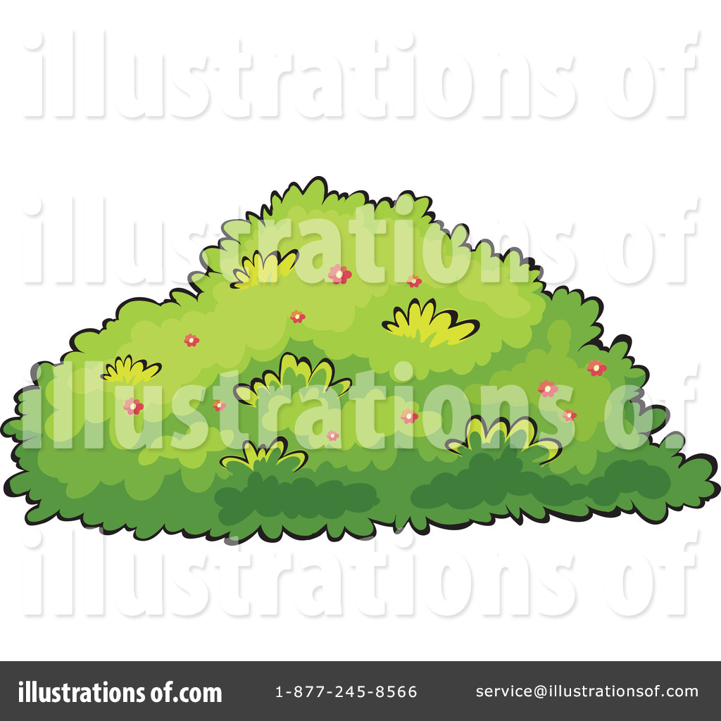 Pin Bushes And Shrubs Clipart With A Tree And Shrub On Pinterest