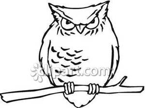 Reading Owl Clipart Black And White Black And White Grumpy Owl Royalty