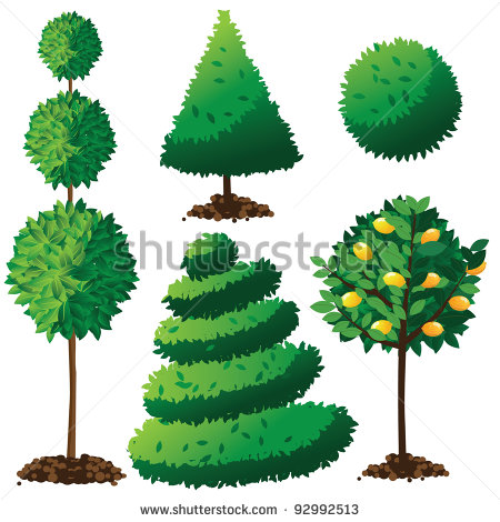 Topiary Landscape Plants Collection Eps 8 Vector Grouped For Easy