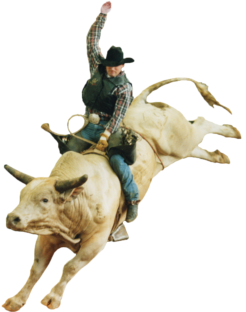 Rodeo Bull Riding Clip Art