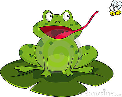 Frog With Fly Royalty Free Stock Photography   Image  23691207