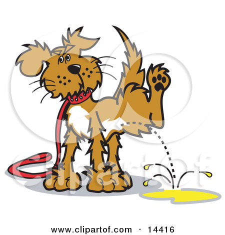 14416 Dog On A Leash Lifting His Leg To Pee Clipart Illustration Jpg