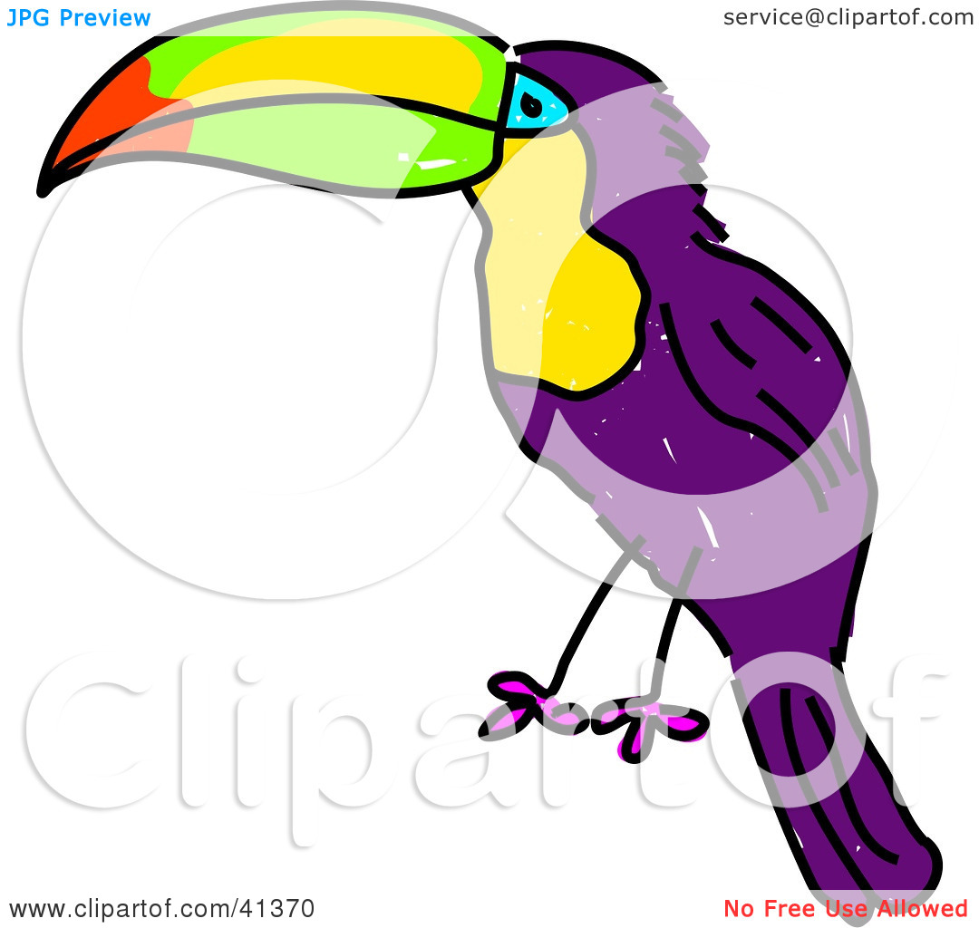 Clipart Illustration Of A Purple Toucan With A Colorful Beak And White