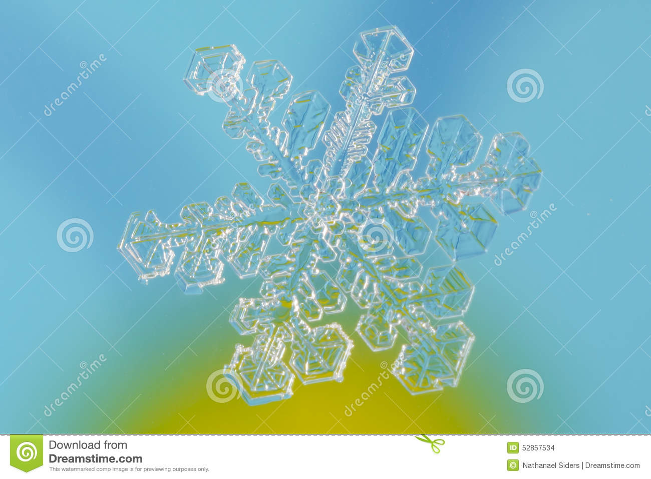 Tiny Snowflake With Blue Background