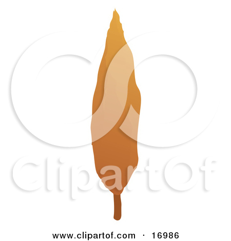 Furnace Filter Clipart   Free Clip Art Images