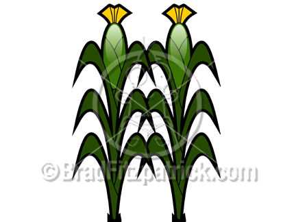 Cartoon Corn Clipart Picture   Royalty Free Corn Stalk Clip Art