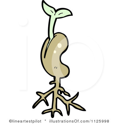 Seed Clipart   Clipart Panda   Free Clipart Images