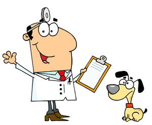 Veterinarian Clipart Image   Cute Little Puppy Dog At The Vets Getting