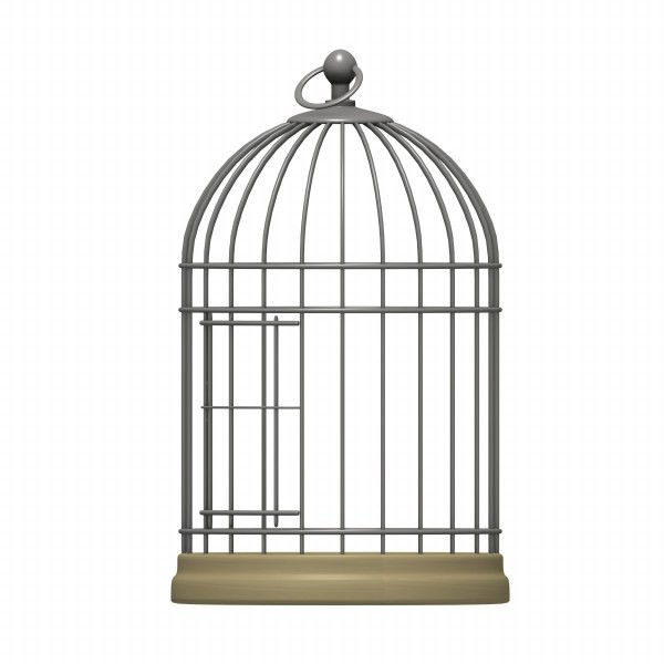 Canary Bird Cage Clipart