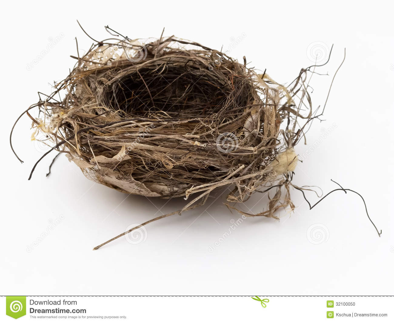 Empty Bird Nest Stock Photo   Image  32100050