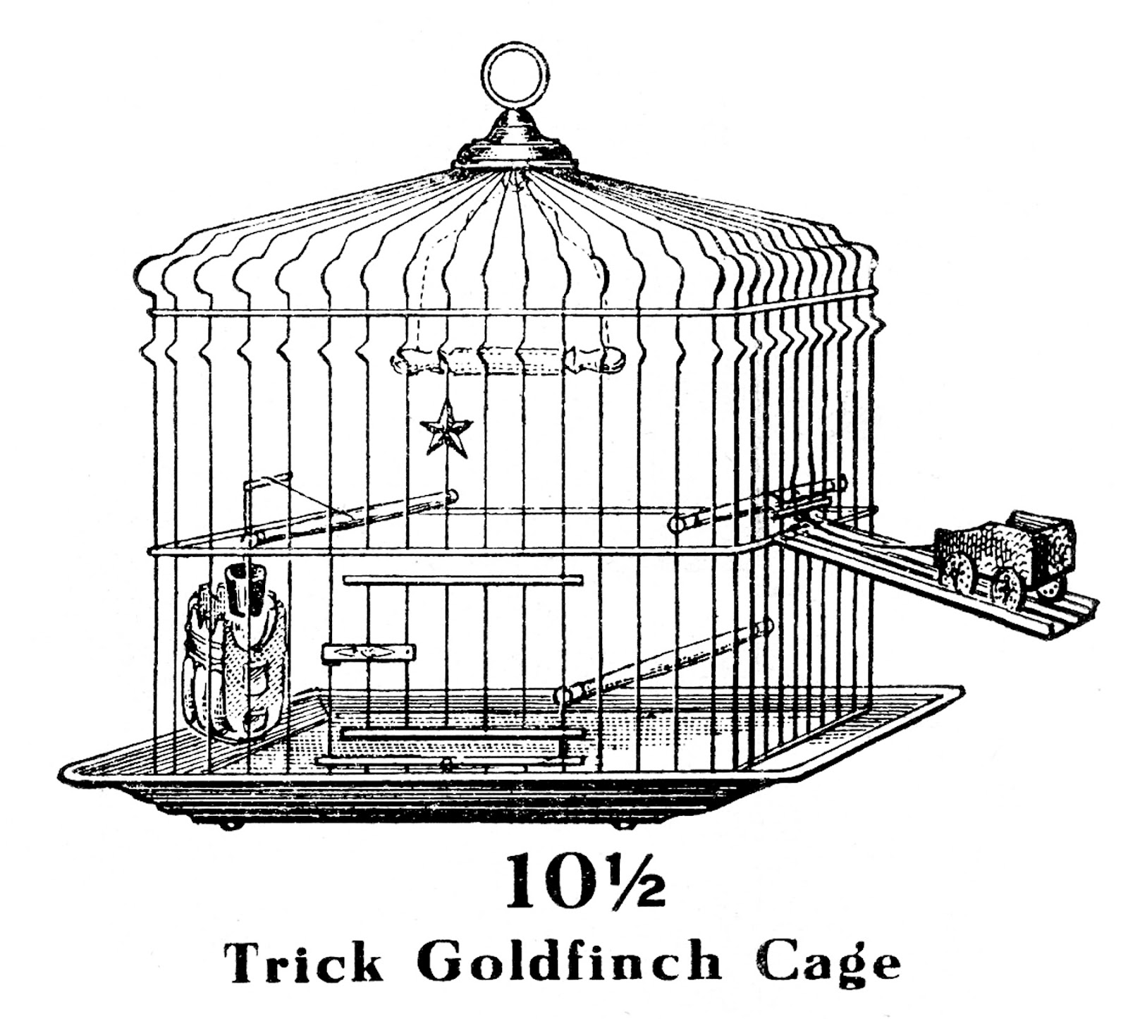Vintage Clip Art   Trick Bird Cage   The Graphics Fairy