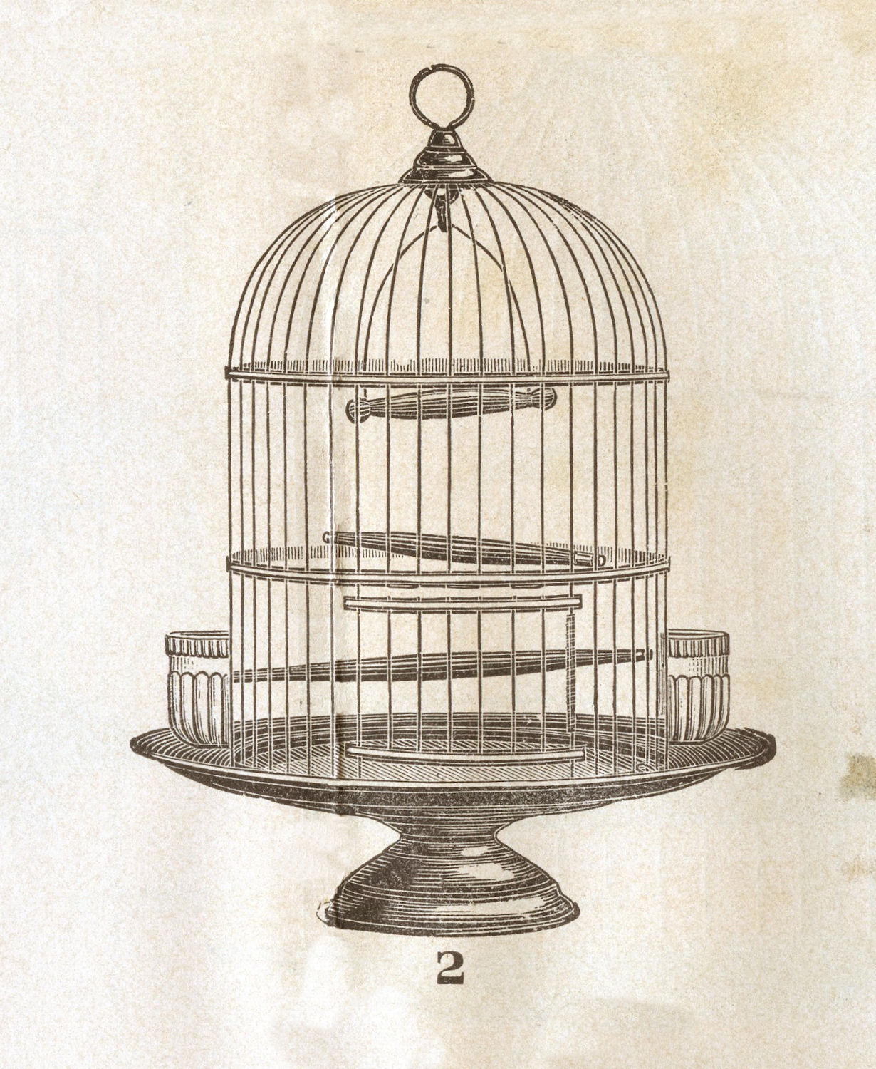 Vintage Clip Art   Victorian Bird Cage   The Graphics Fairy