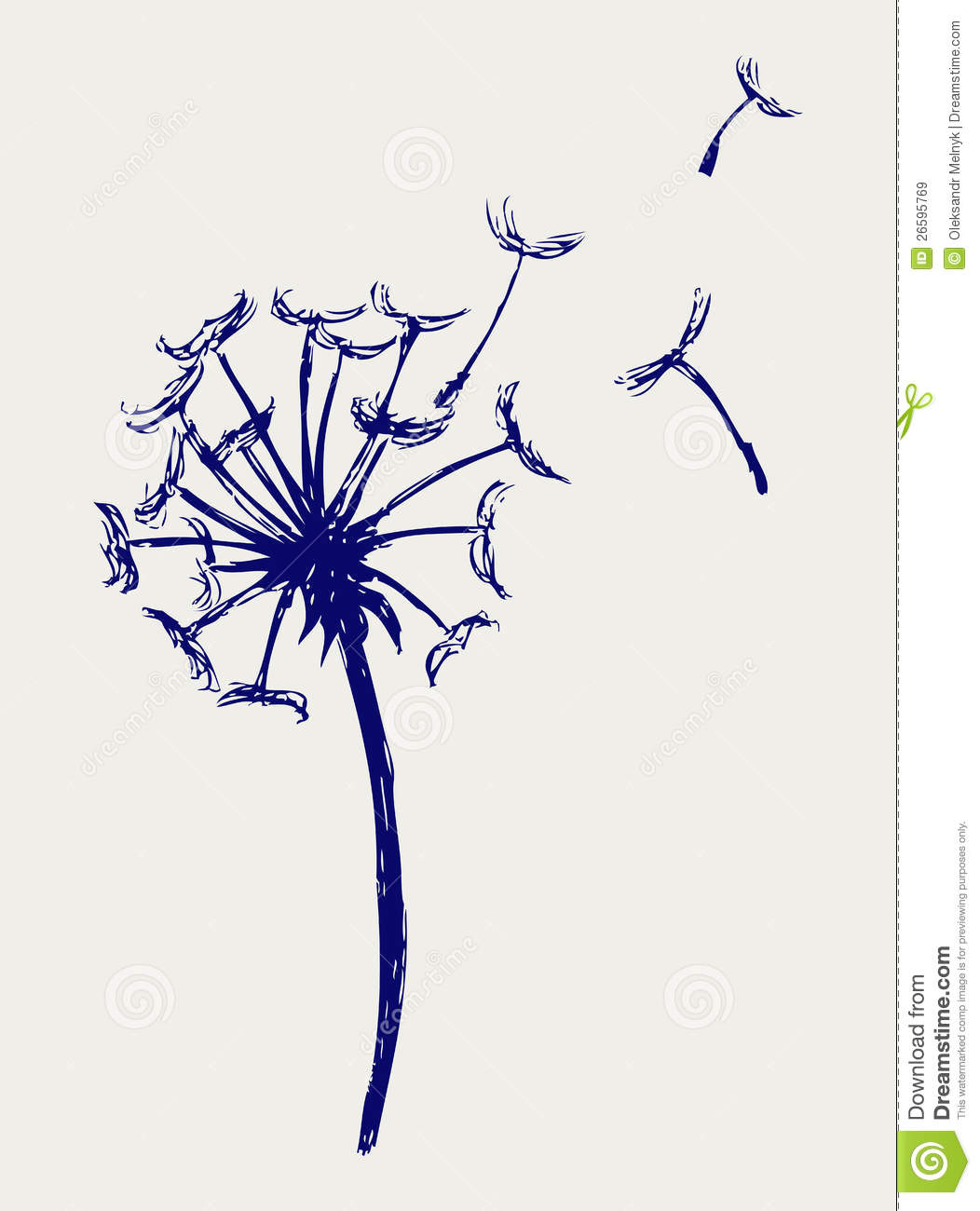 Blow Dandelion Royalty Free Stock Images   Image  26595769