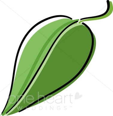 Green Leaf Drawing   Country Wedding Clipart