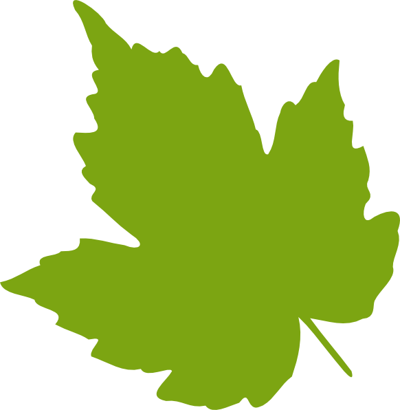 Single Leaf Logo   Clipart Best