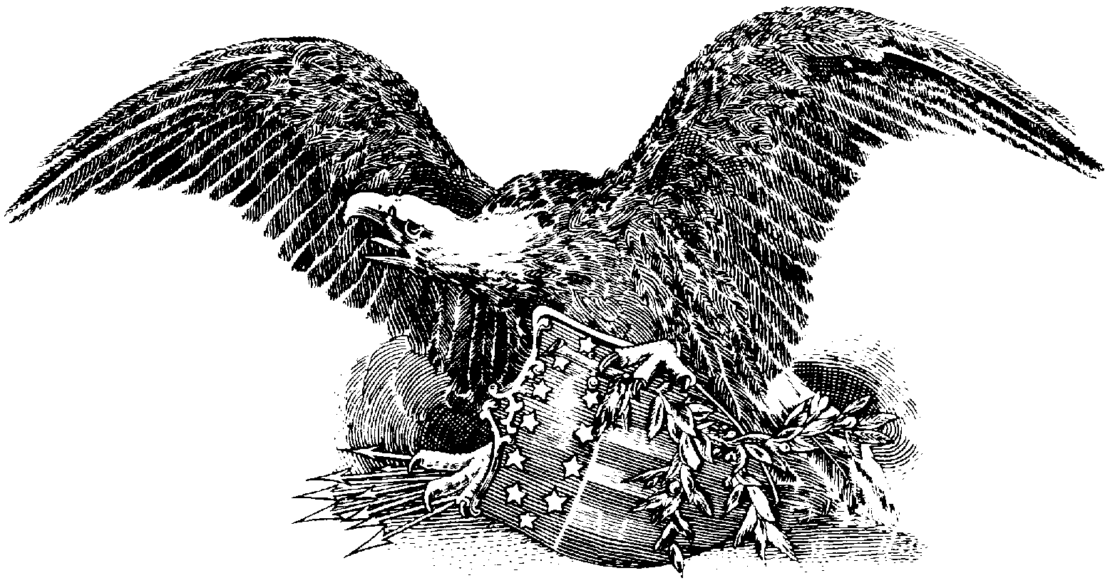 American Eagle Clip Art Black And White Images   Pictures   Becuo