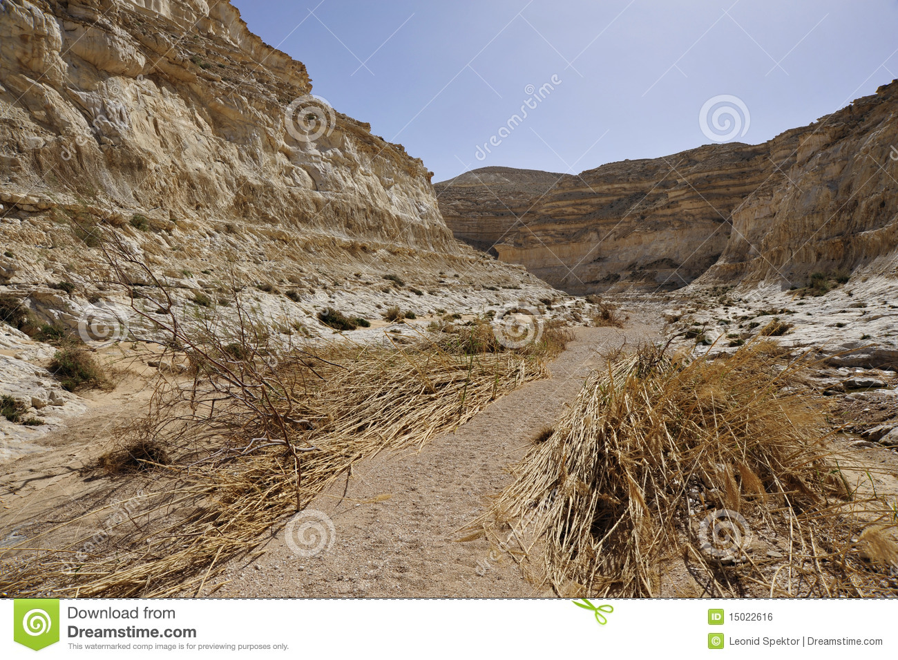 Desert Canyon Trek After Flood  Royalty Free Stock Image   Image