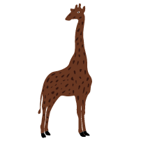 Funny Giraffe Les 3 Png