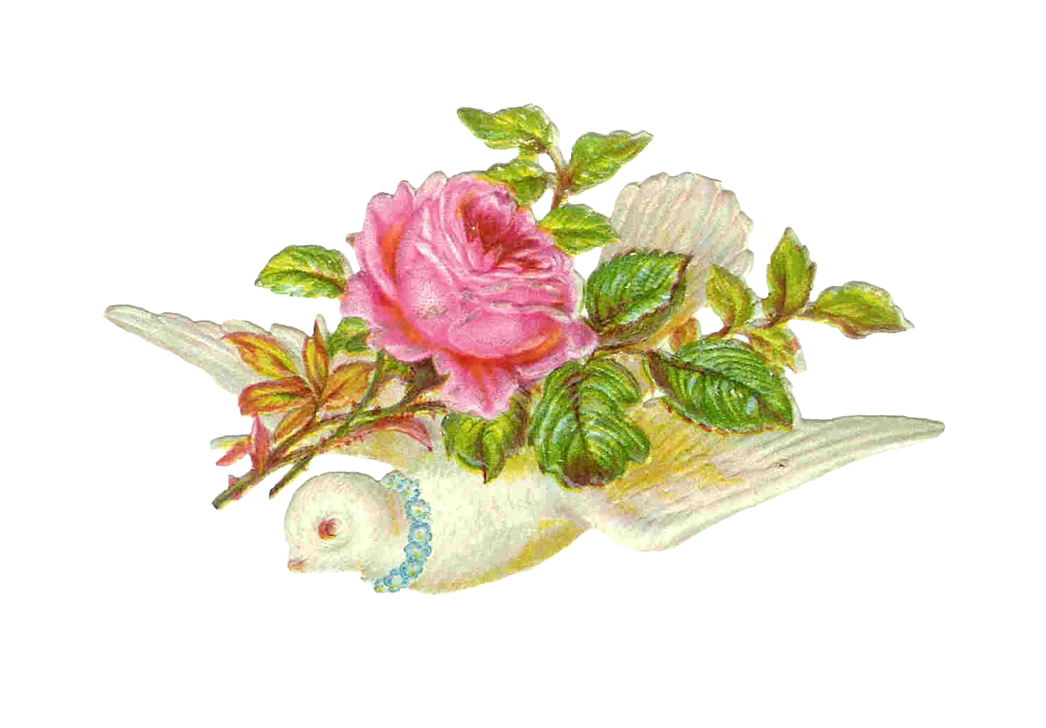 Vintage Victorian Die Cut  Clip Art Of Bird Dove Carrying A Pink Rose
