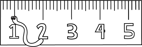 An Inch Worm In Front Of A Ruler  Great For The Short I Vowel Sound