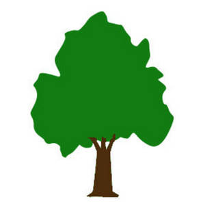 Description  This Is A Free Clipart Picture Of A Large Shade Tree    