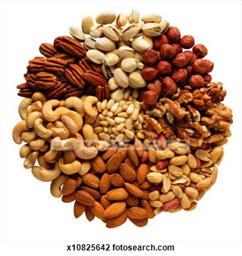 Mixed Nuts Clipart Images   Pictures   Becuo