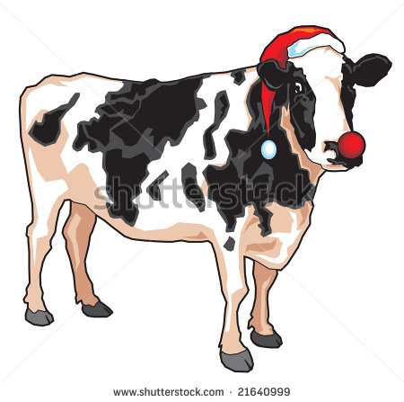 Christmas Cow Stock Photos Images   Pictures   Shutterstock