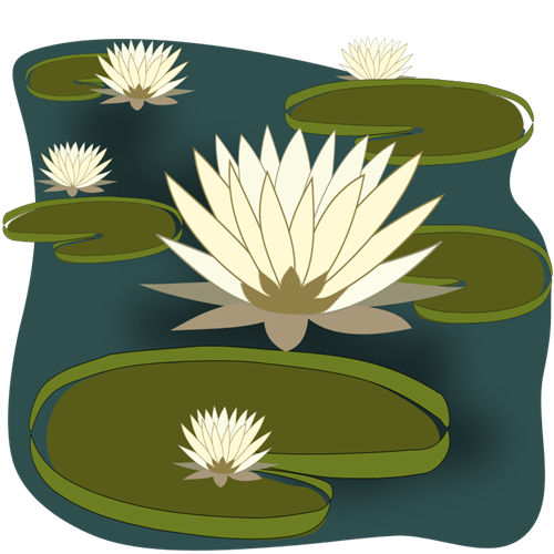 Water Lily Clip Art   Images   Free For Commercial Use