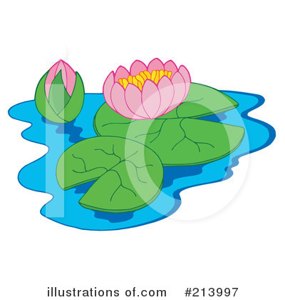 Water Lily Clip Art More Clip Art Illustrations Of