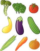 Summer Squash Clipart Images   Pictures   Becuo