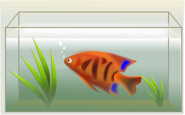 Fish Tank Clip Art At Clker Com   Vector Clip Art Online Royalty Free