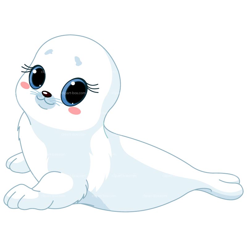 Clipart White Baby Seal   Royalty Free Vector Design
